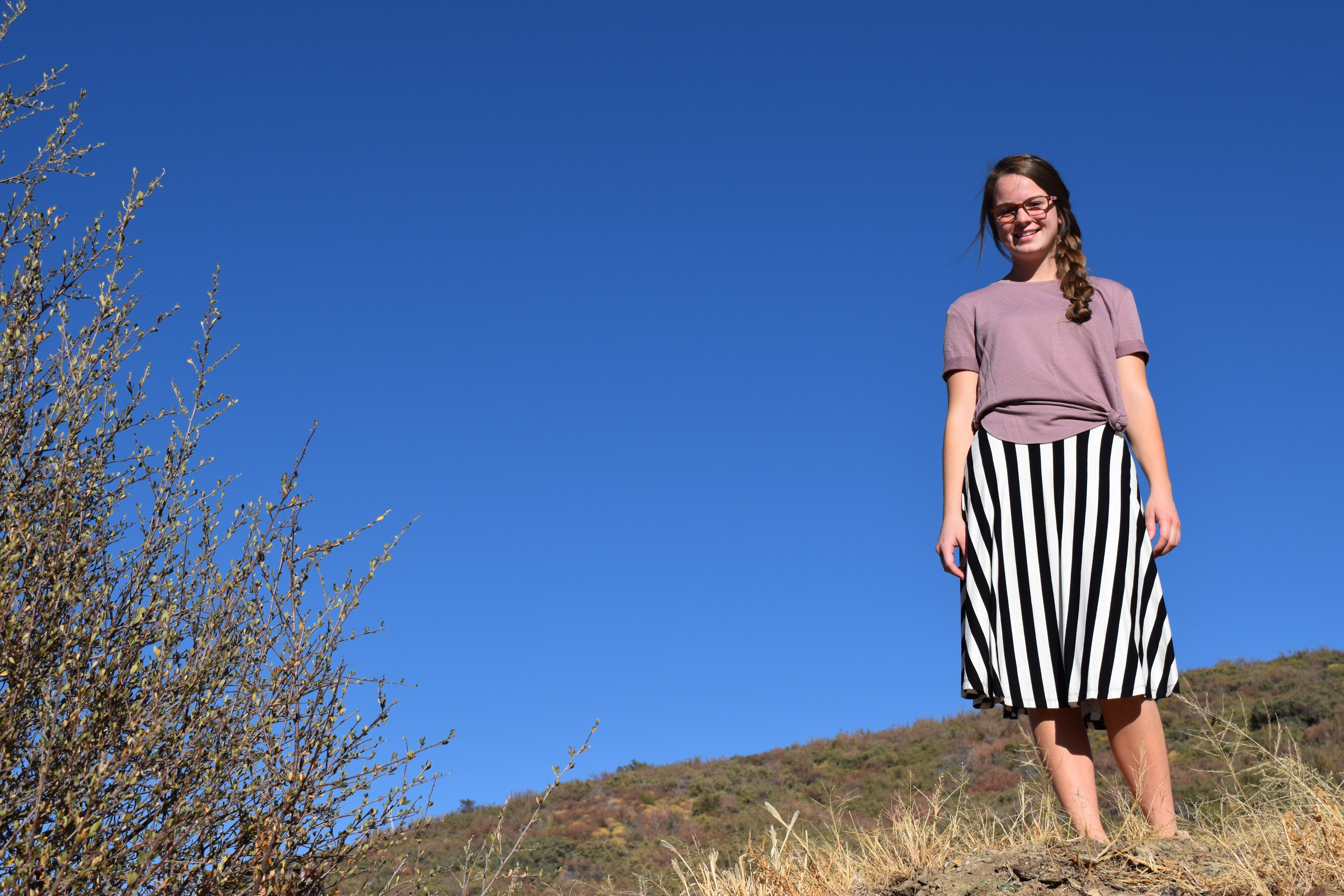 Stripes and Skies